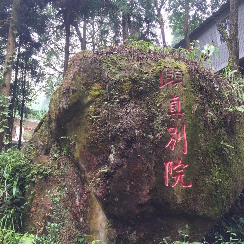 大圆洞森林公园