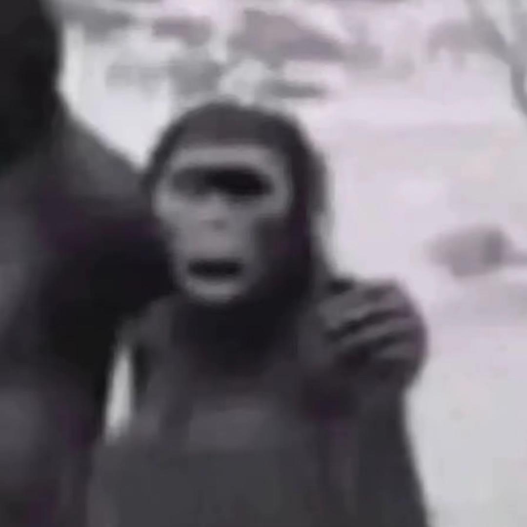 小鱼