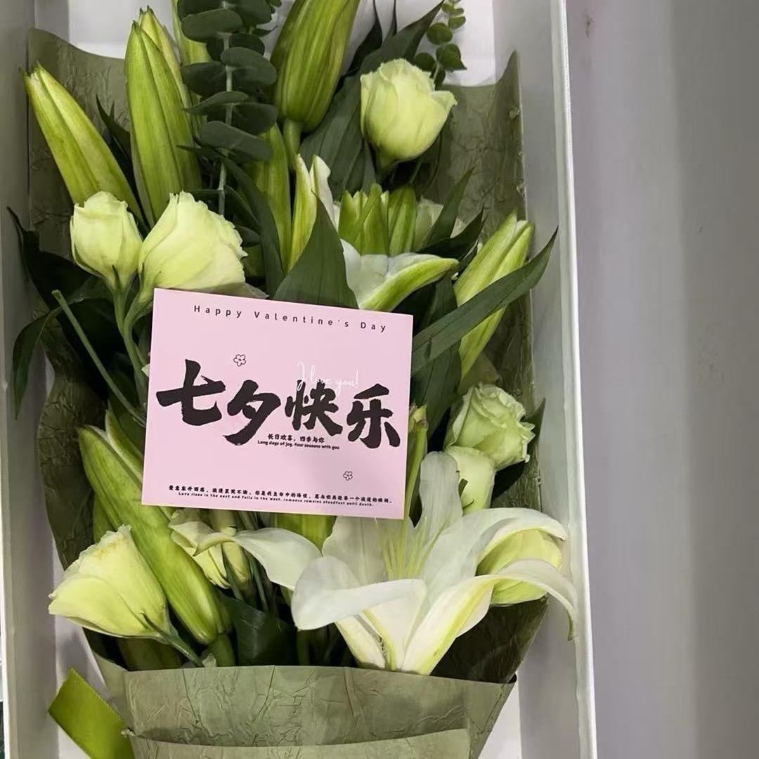 小七🍀