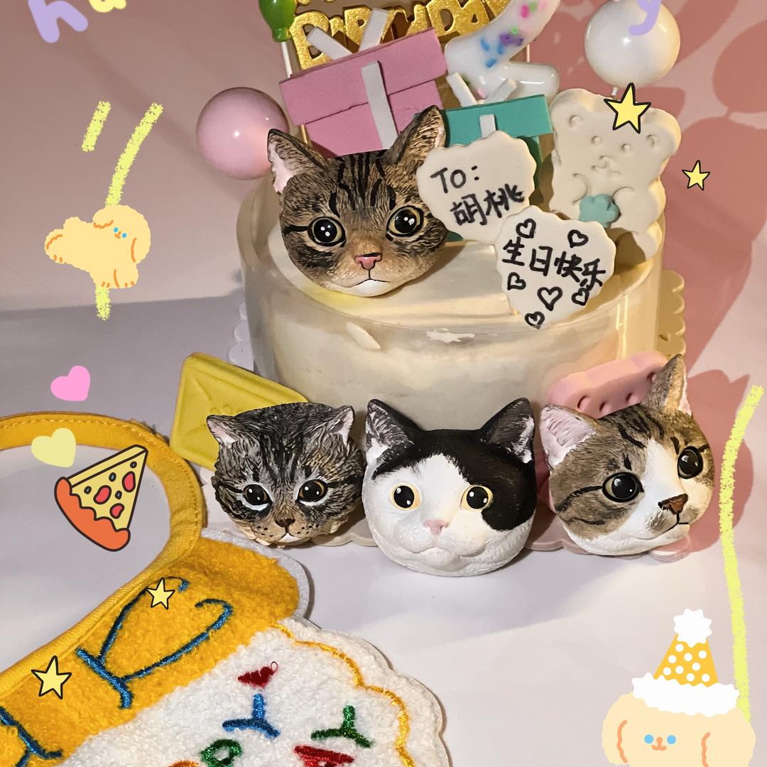 猫猫不吃鱼