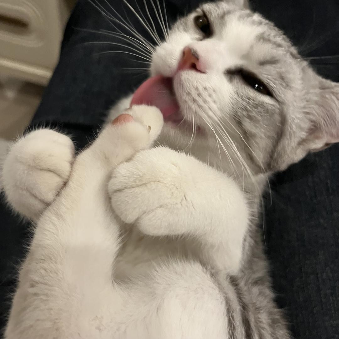 王一月