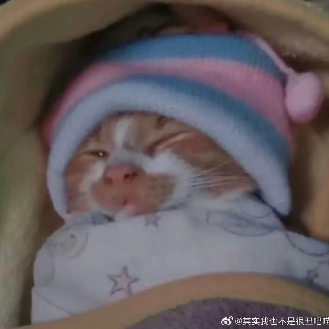 只画画是会饿死的