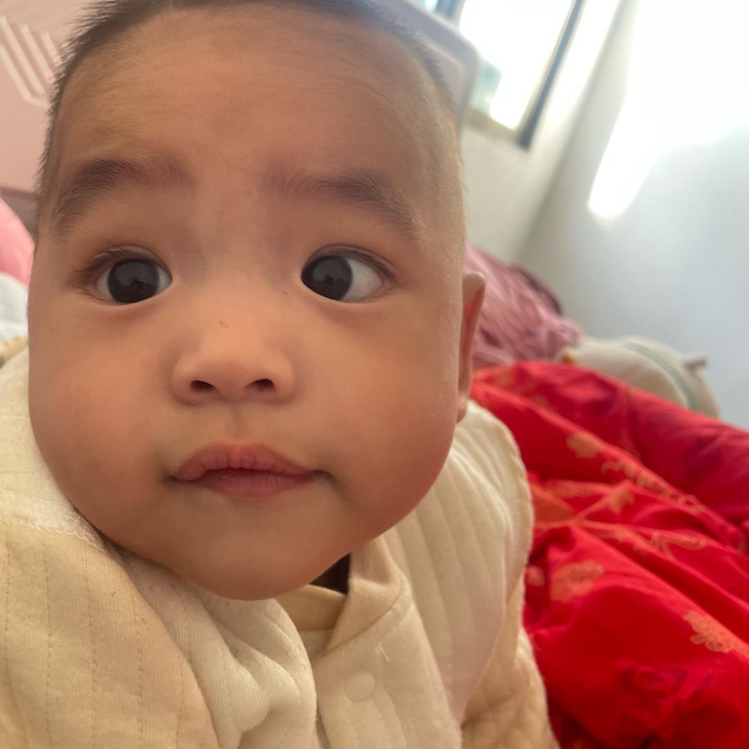 小铭铭铭