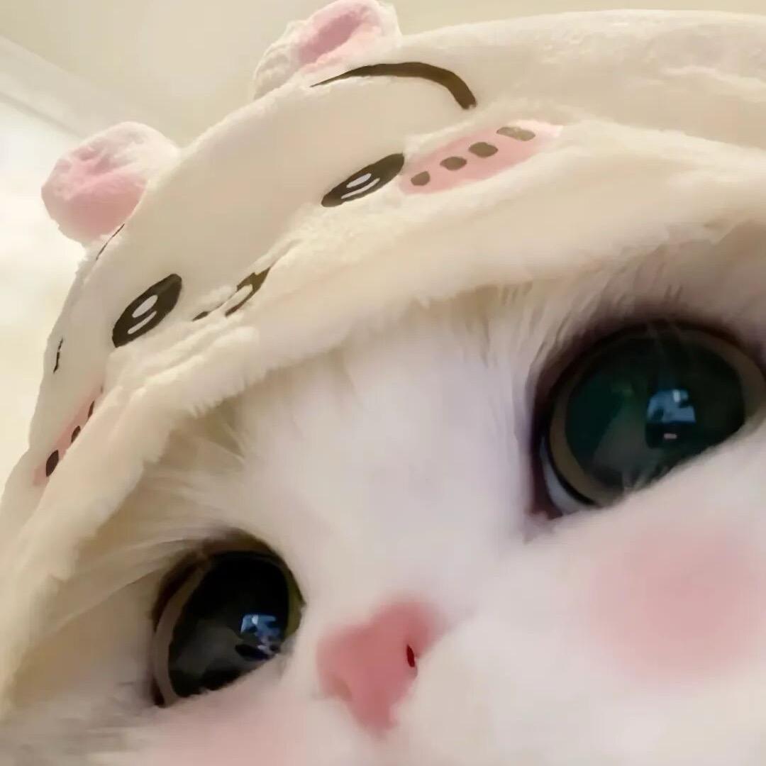 Cc