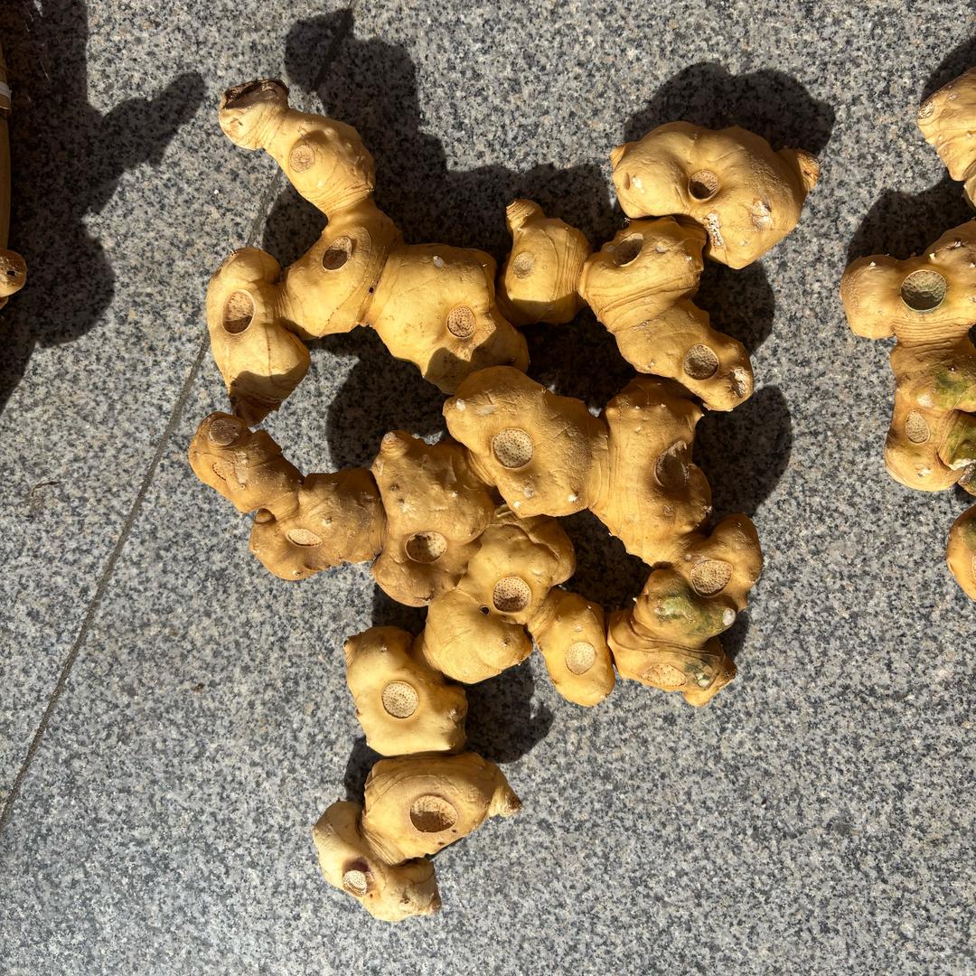 九蒸九晒黄精（私人订制）-只做20年高货