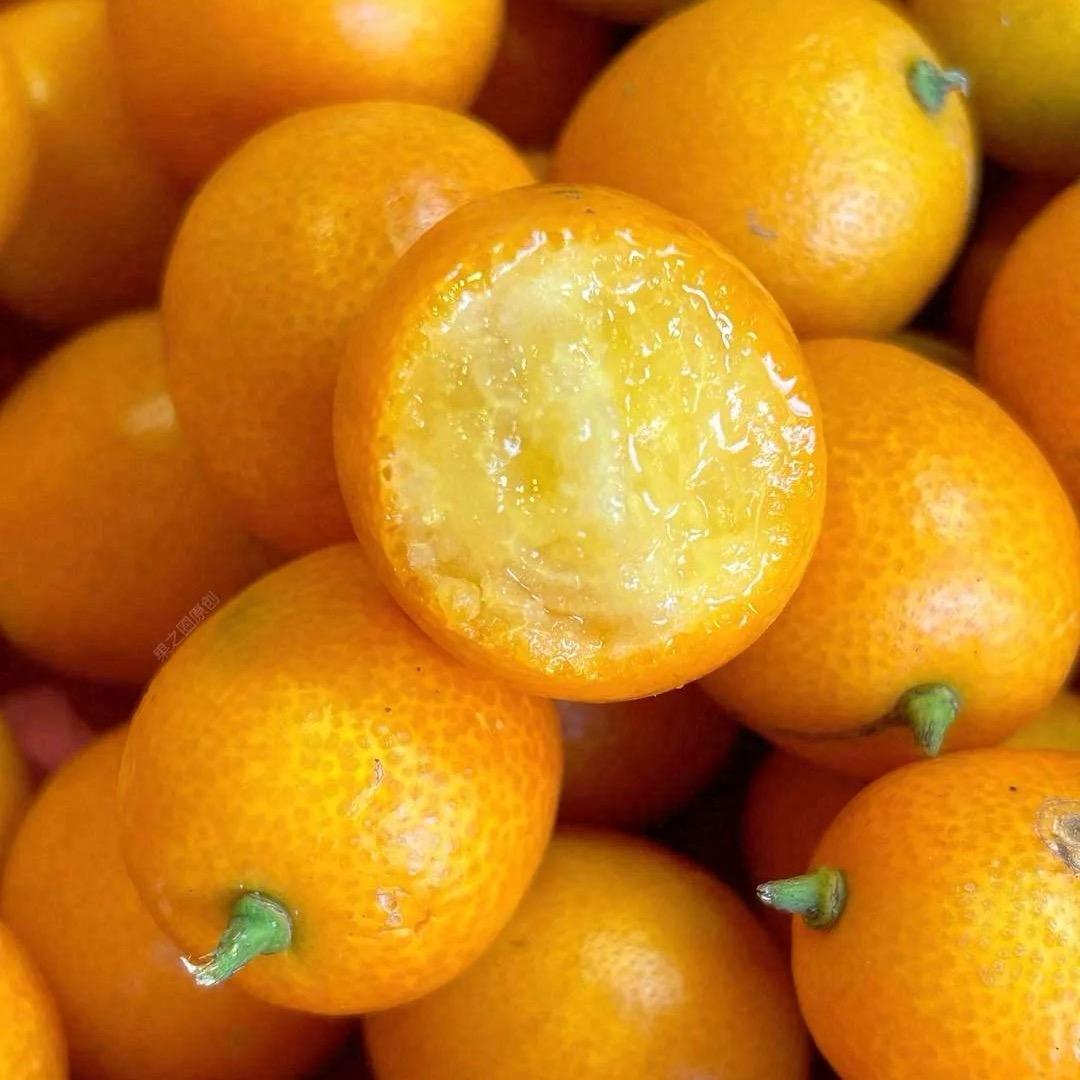 果鲜源生鲜甄选