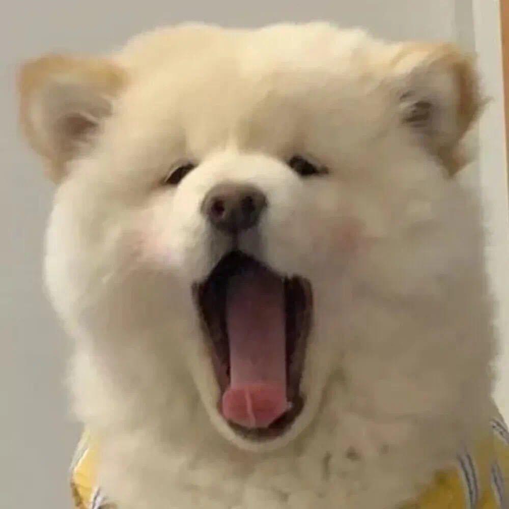 遇故知