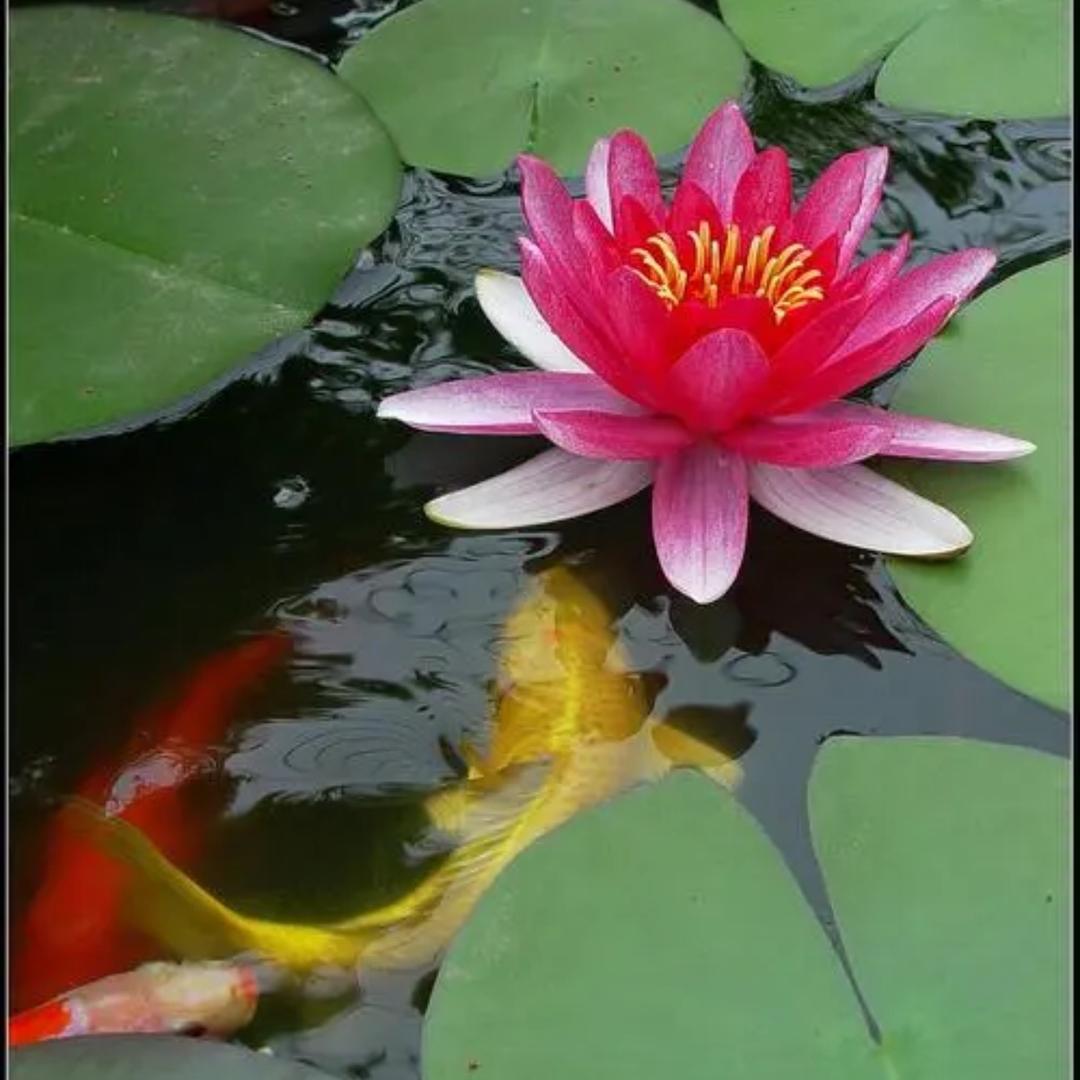梅姐姐~⁹²¹