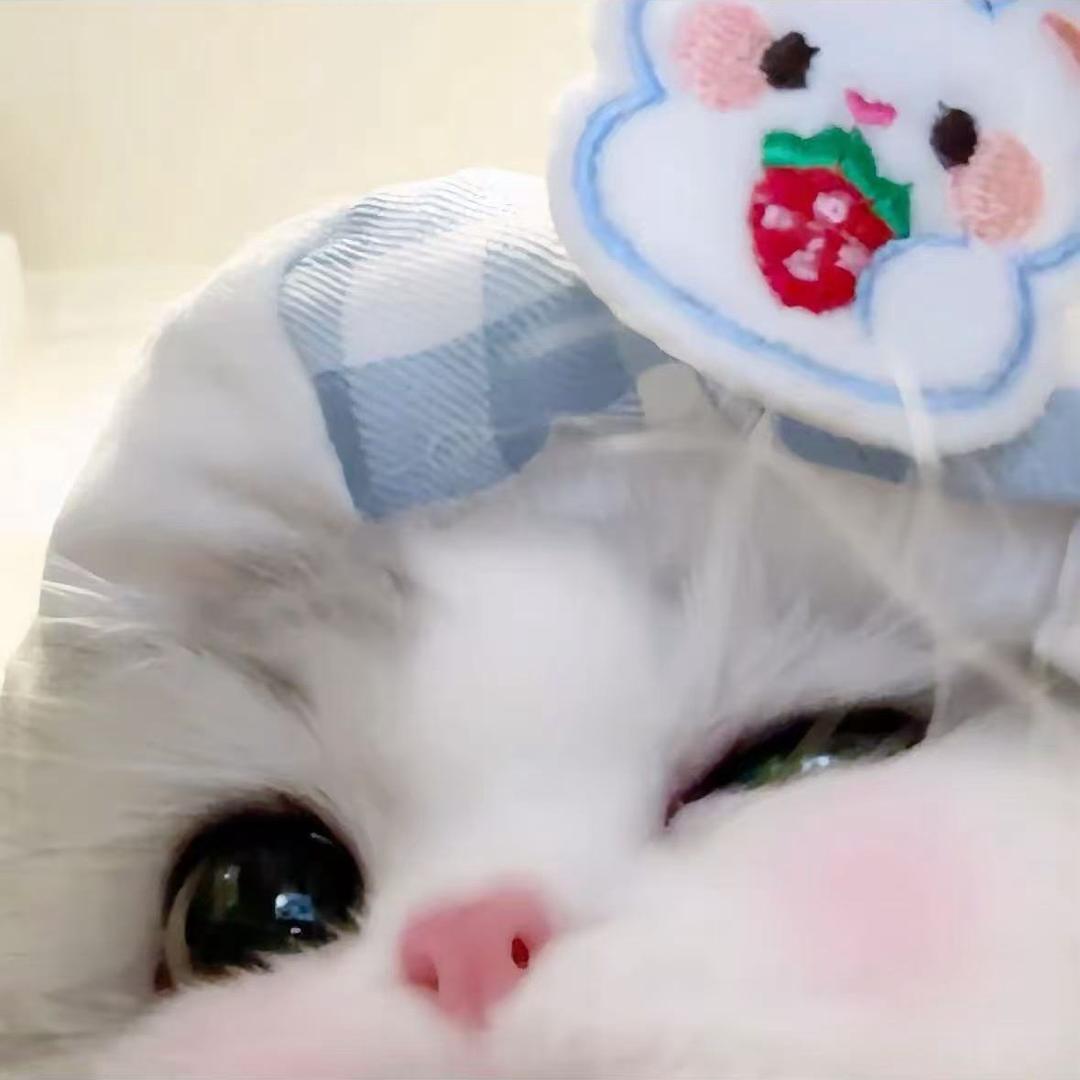 瑶小瑶