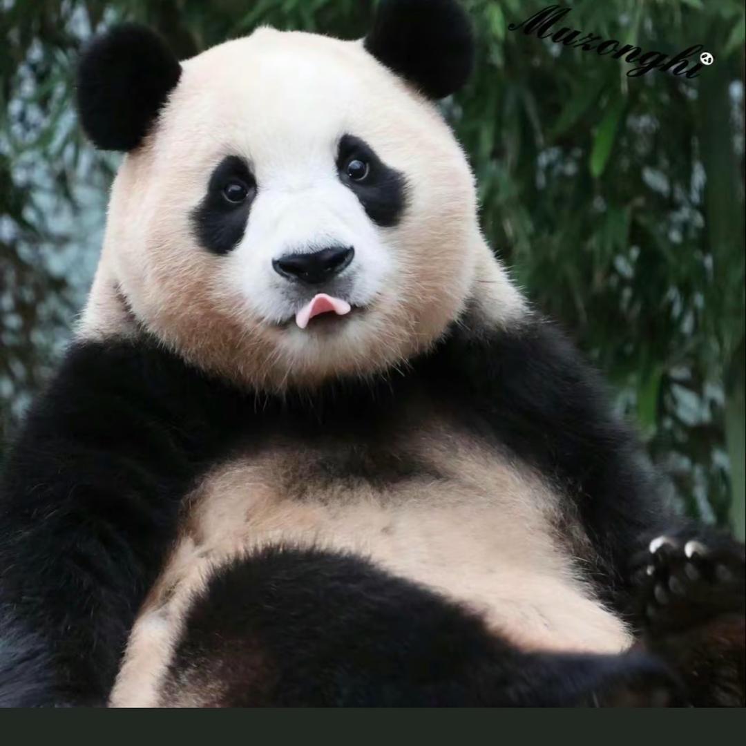 睡得晚