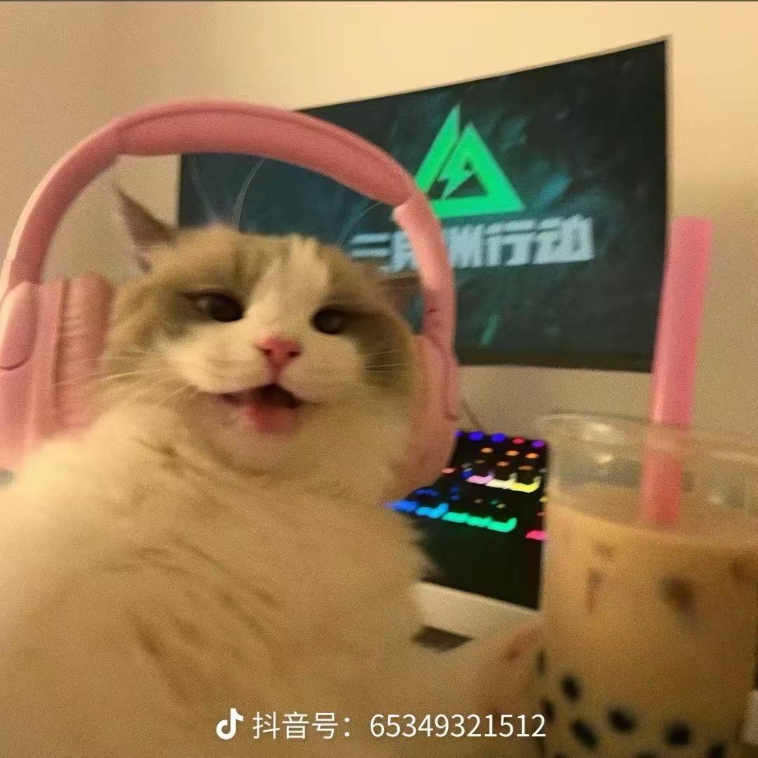 陪小熊看海🧸