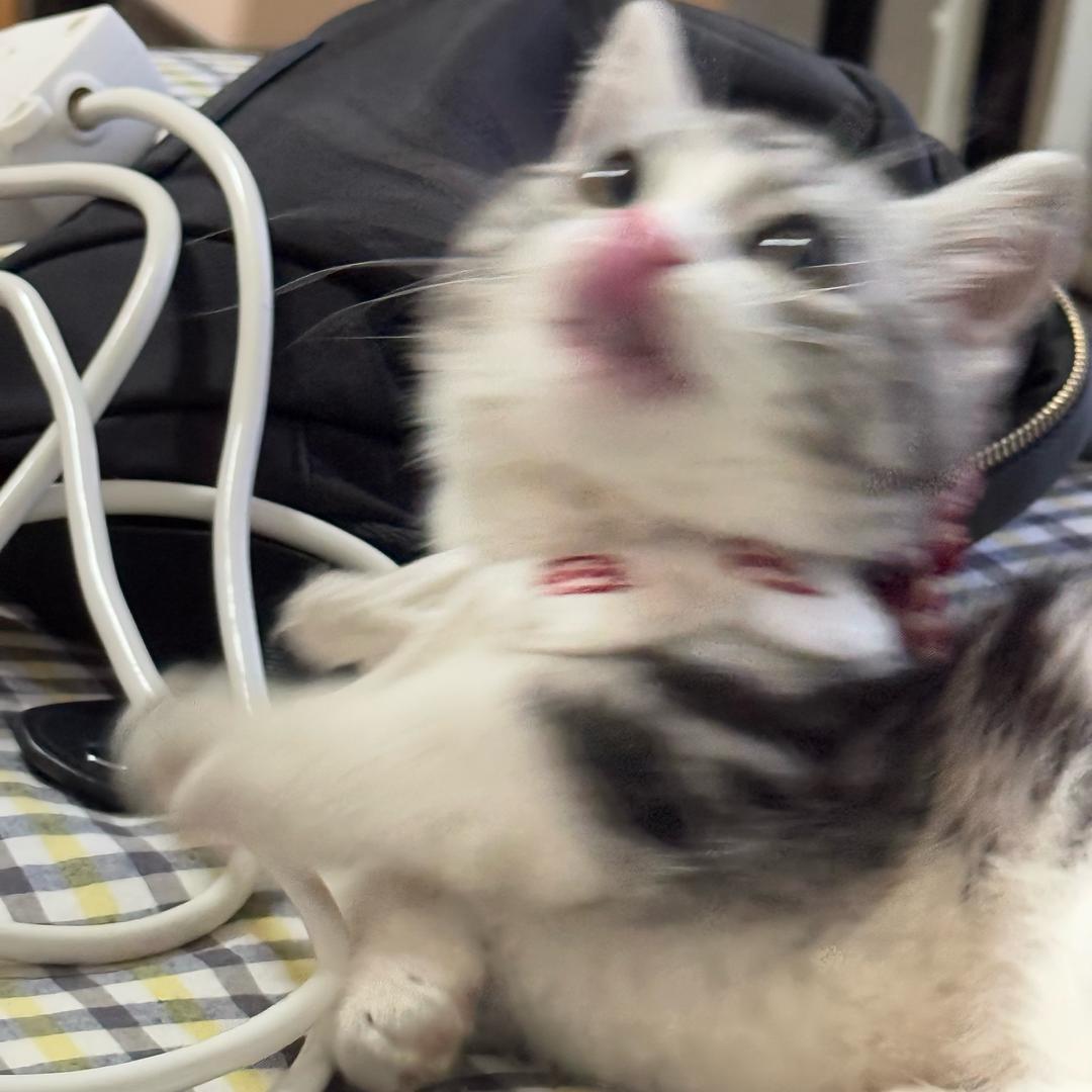 恒可爱