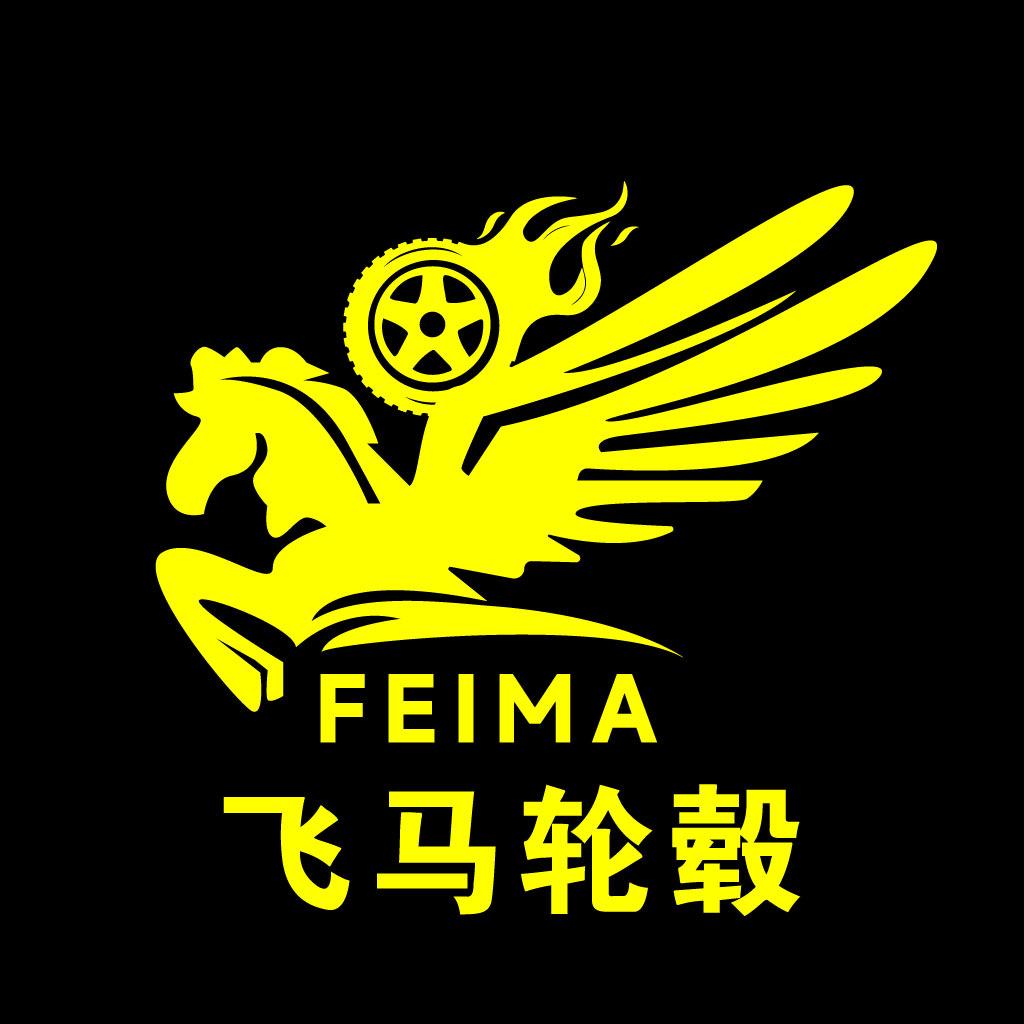 成都飞马轮毂轮胎