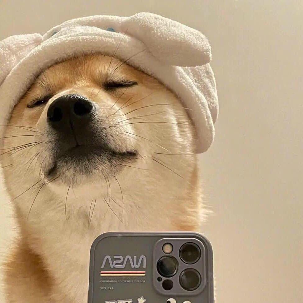 你总会逗我笑