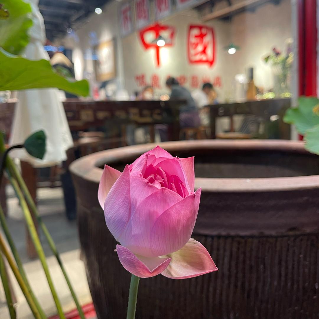 鸣鼎中国炒鸡夫子庙店