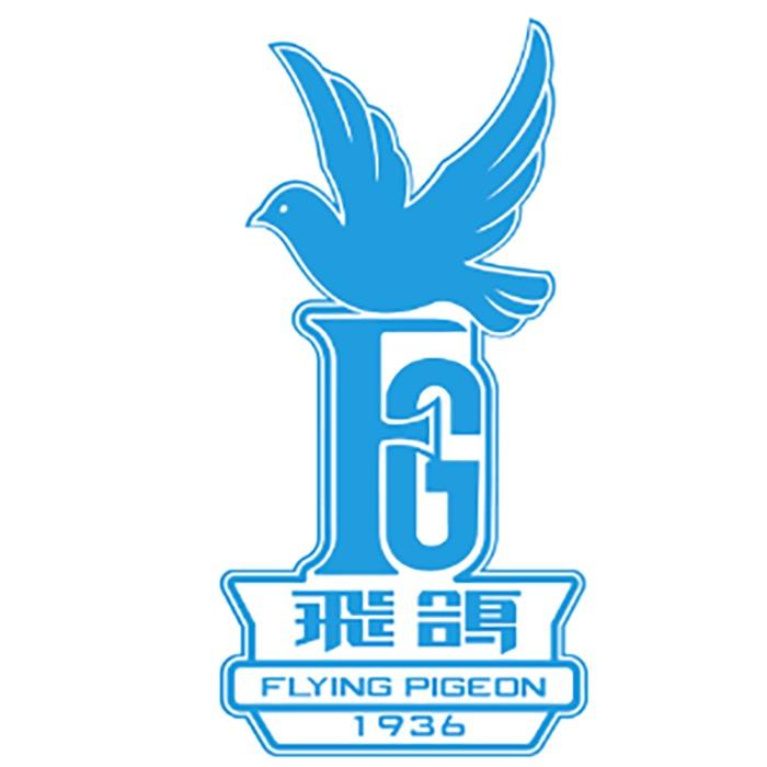 飞鸽盛贯专卖店