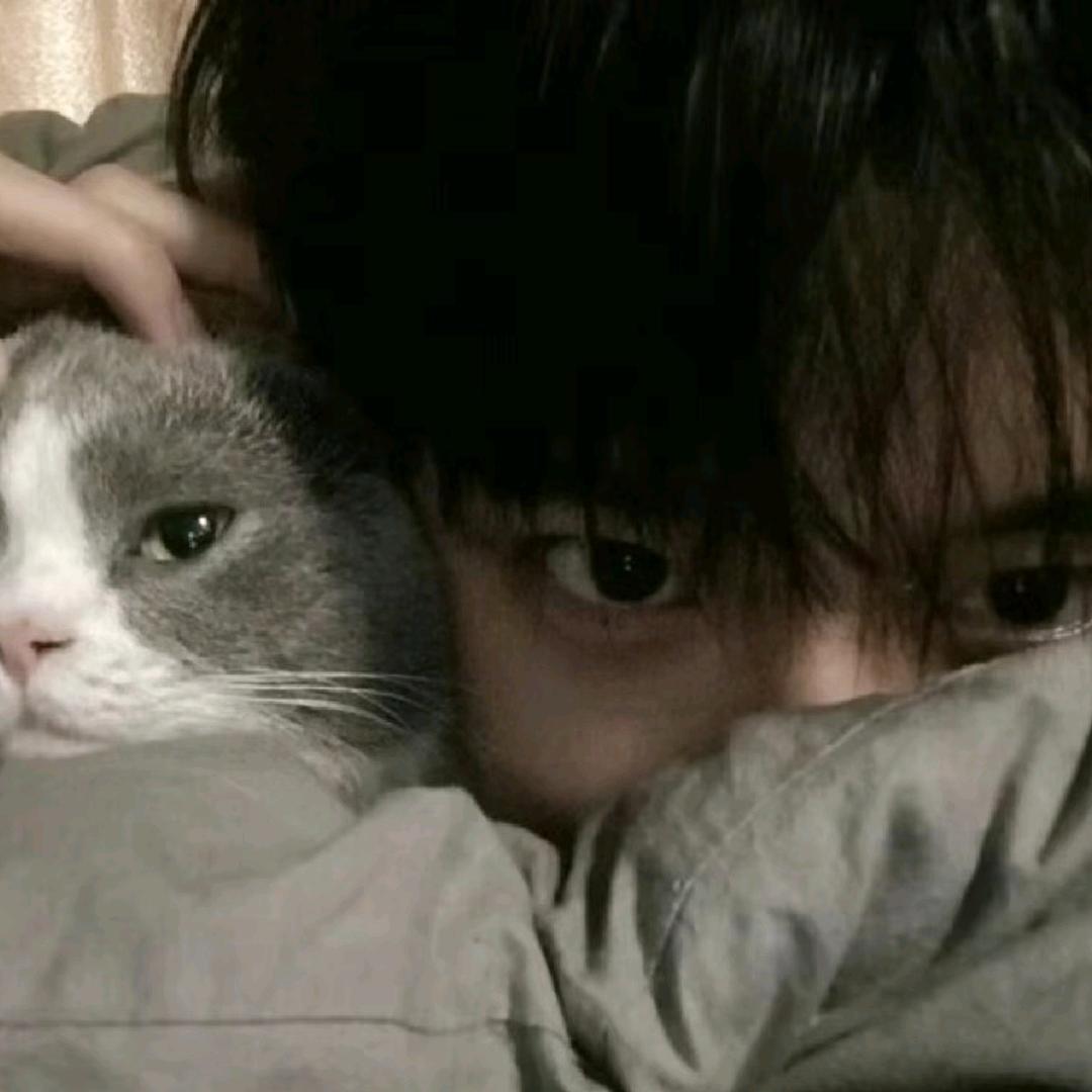 等风王者工作室