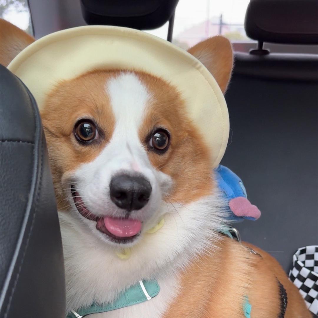 李小奇的快乐生活