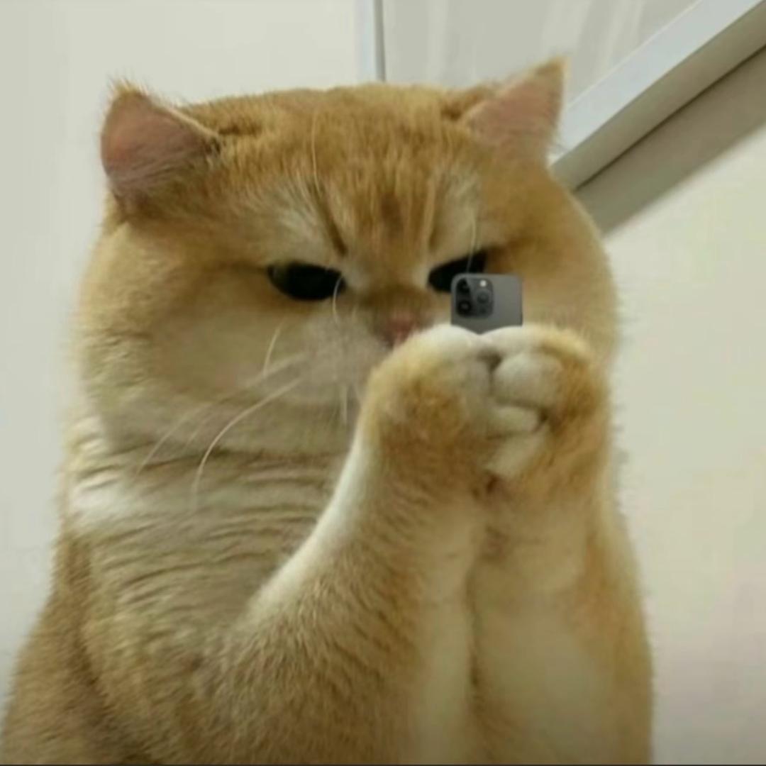 嘘.