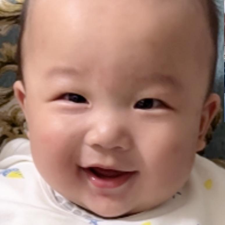 沧桑小狐狸