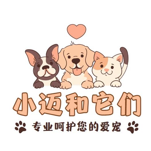 小迈和它们
