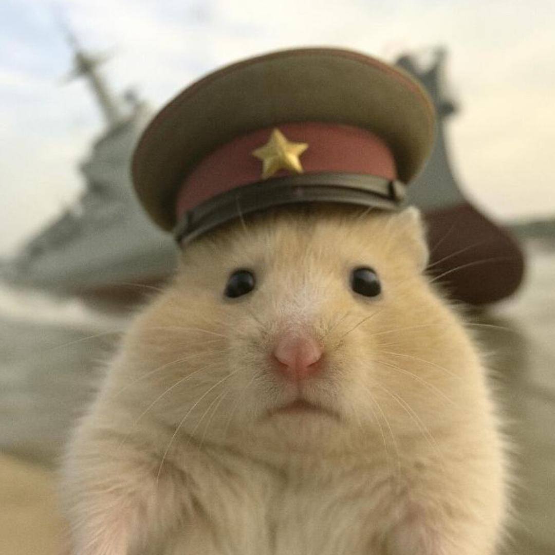 威风的鼠（三角洲行动）
