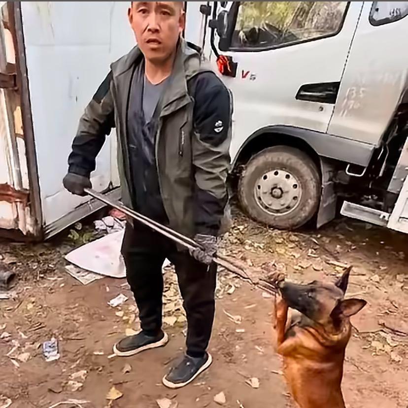 aaa专业套狗王师傅