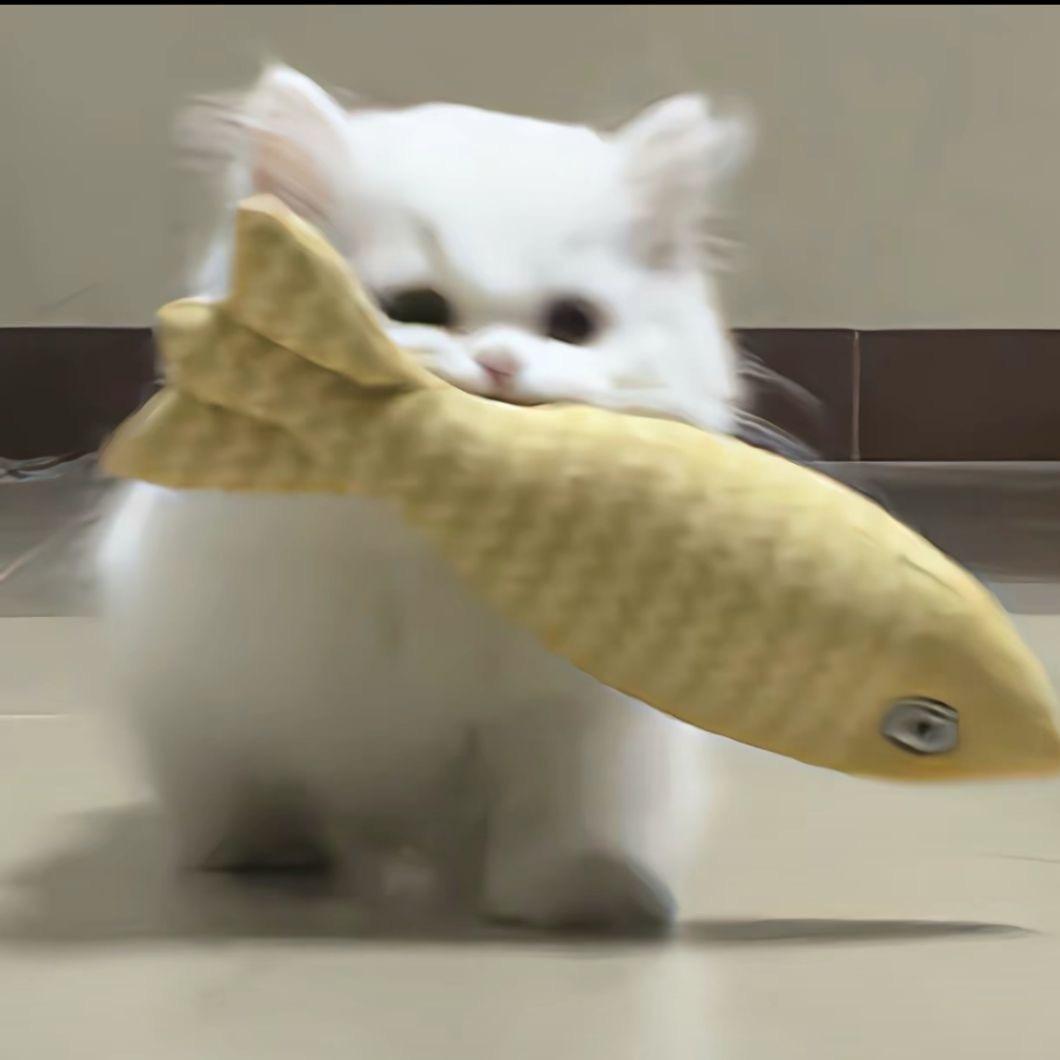 喵总