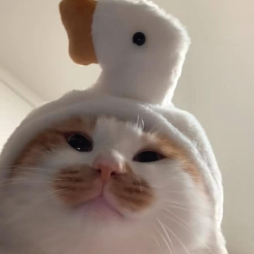 二二
