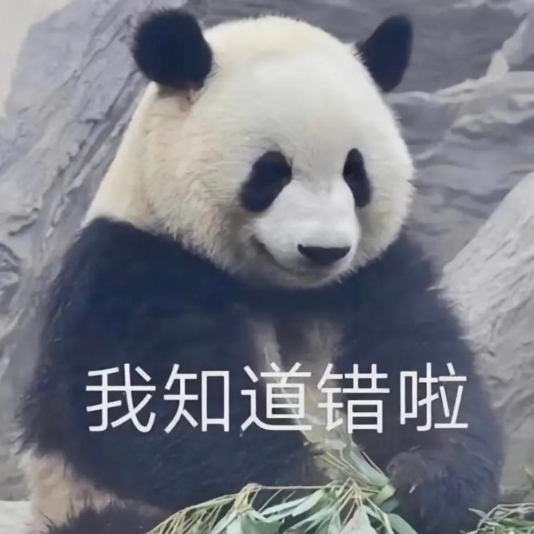 想自由