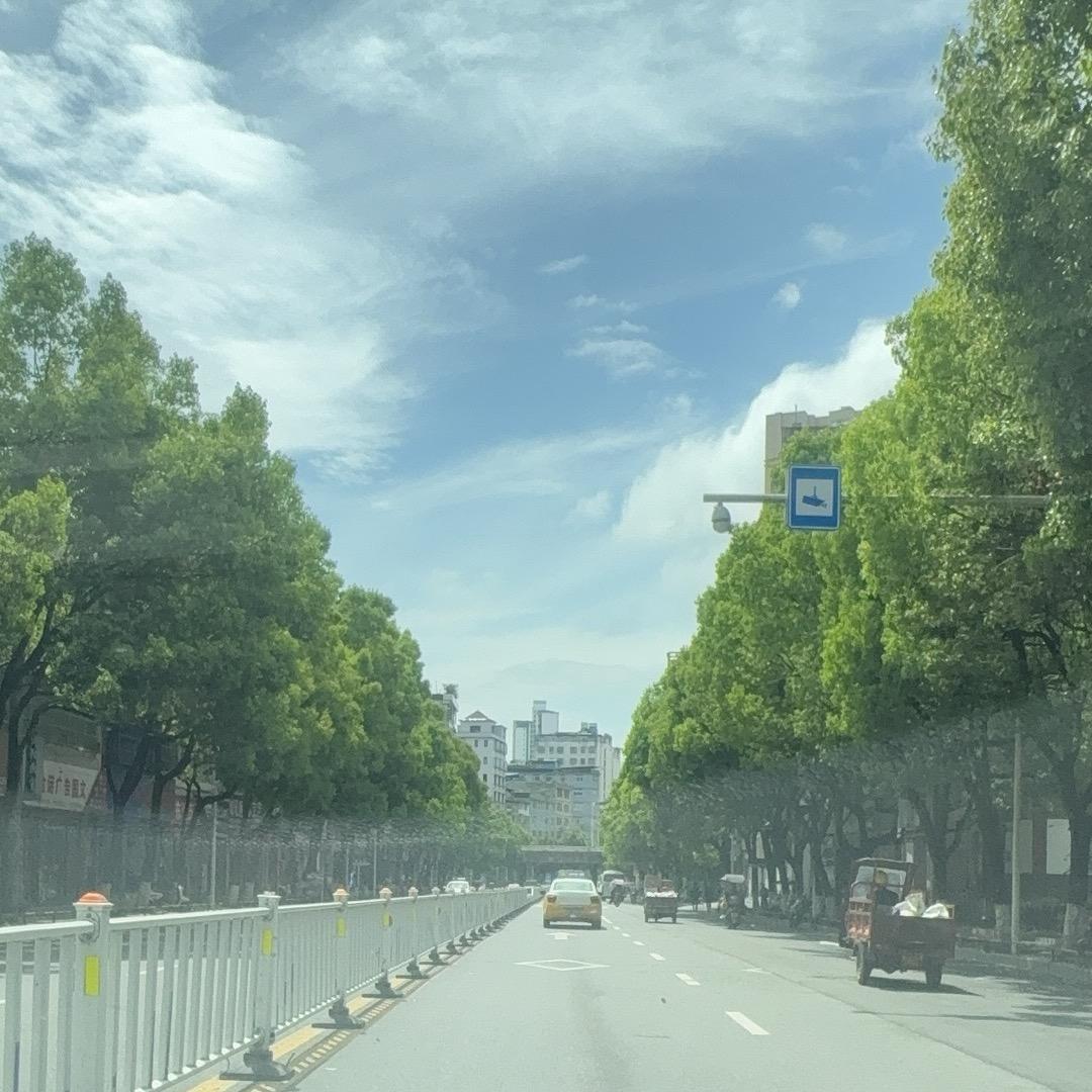 观察者