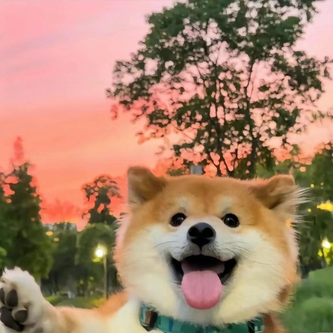 攀枝花公司免费注册