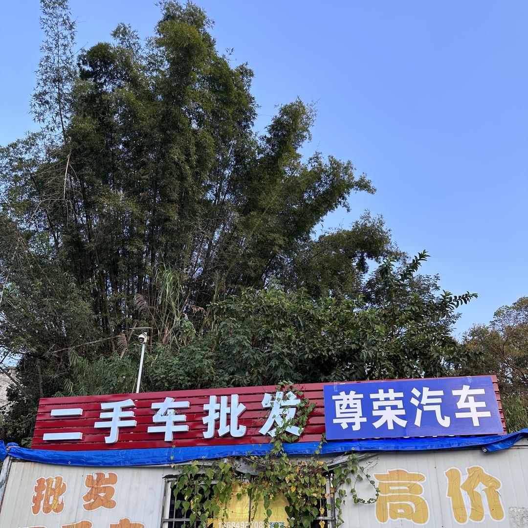 阿彪Zr 尊荣汽车