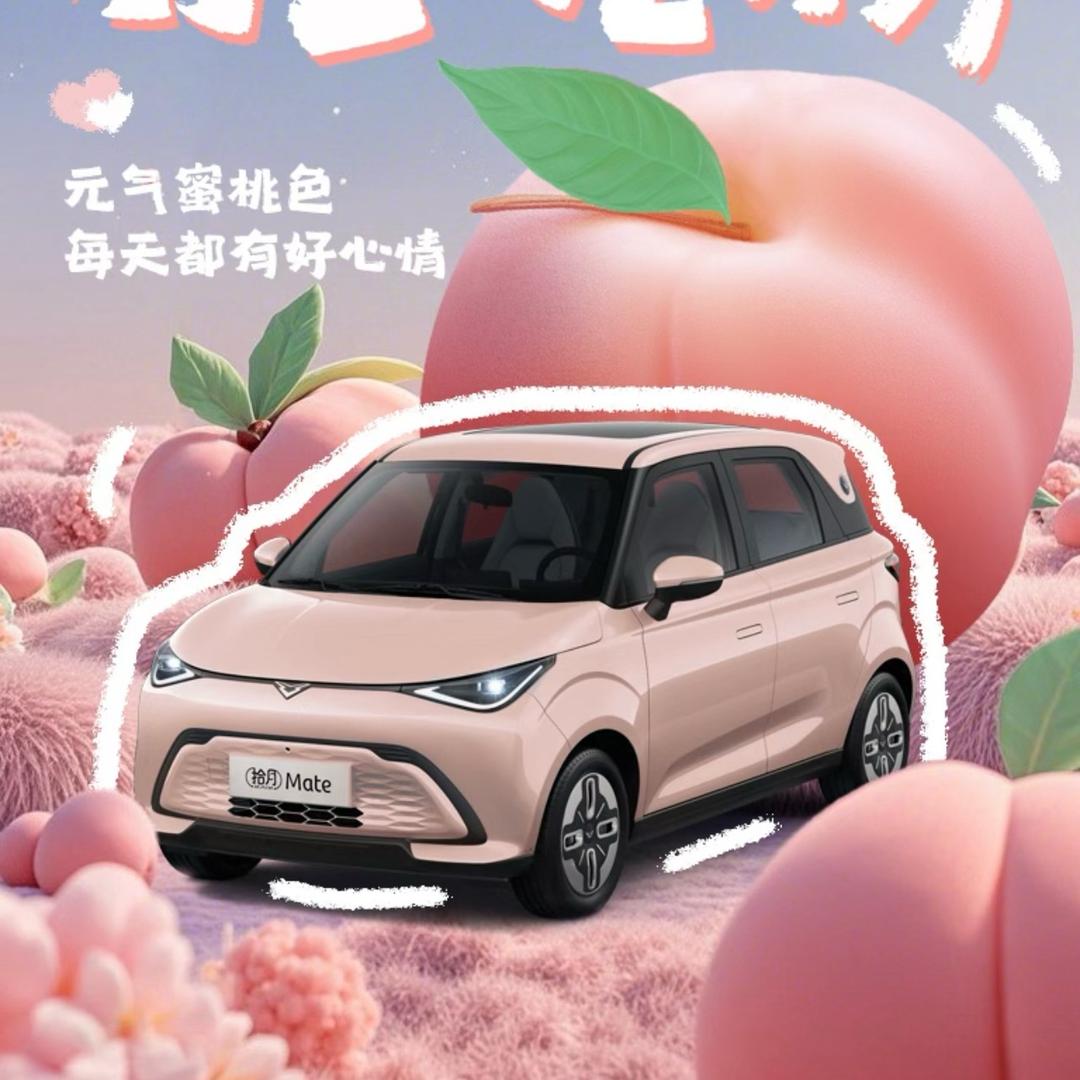 拾月mate新能源