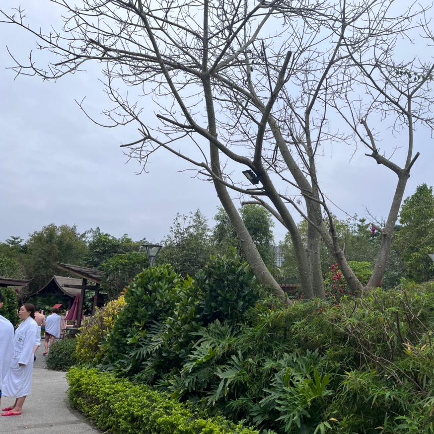 海 阔 天空
