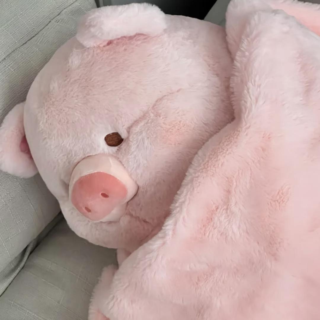 猪猪🐷