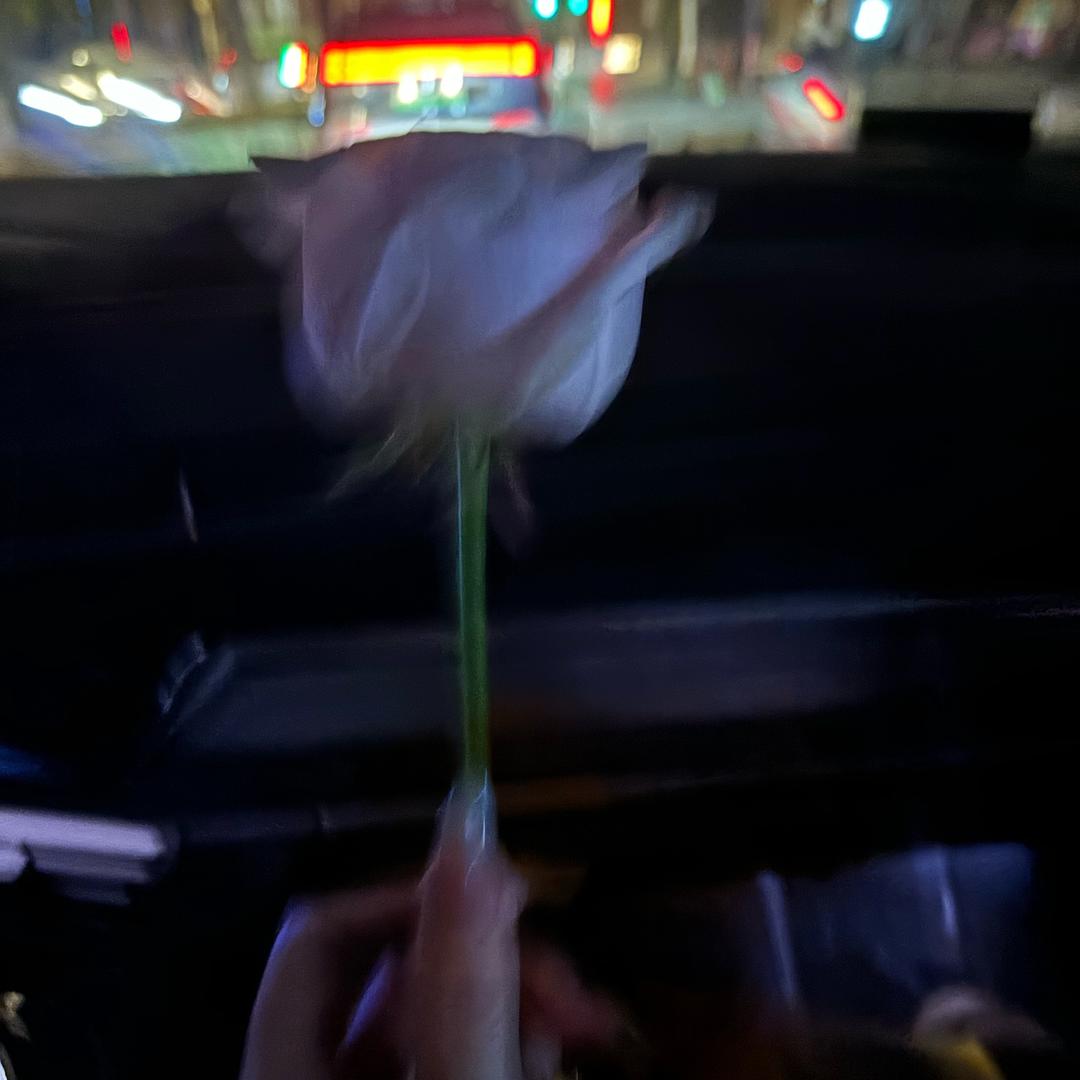 肥寶