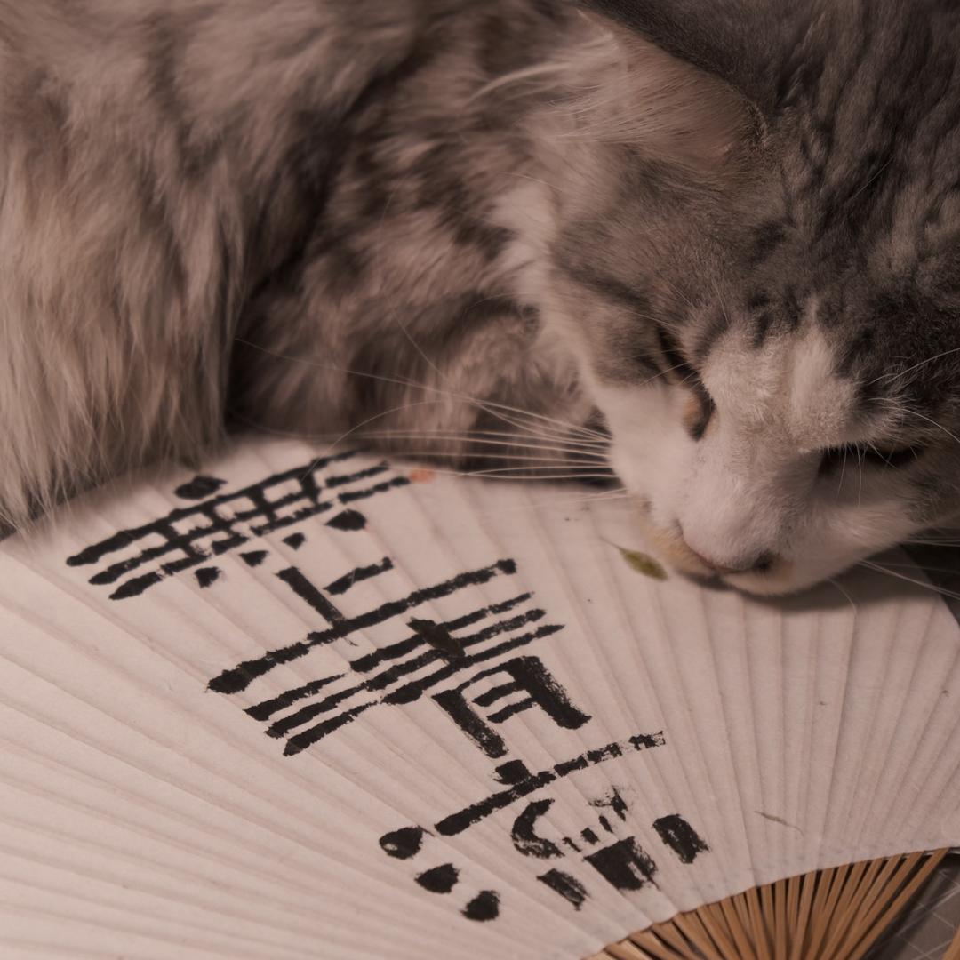 多有福器
