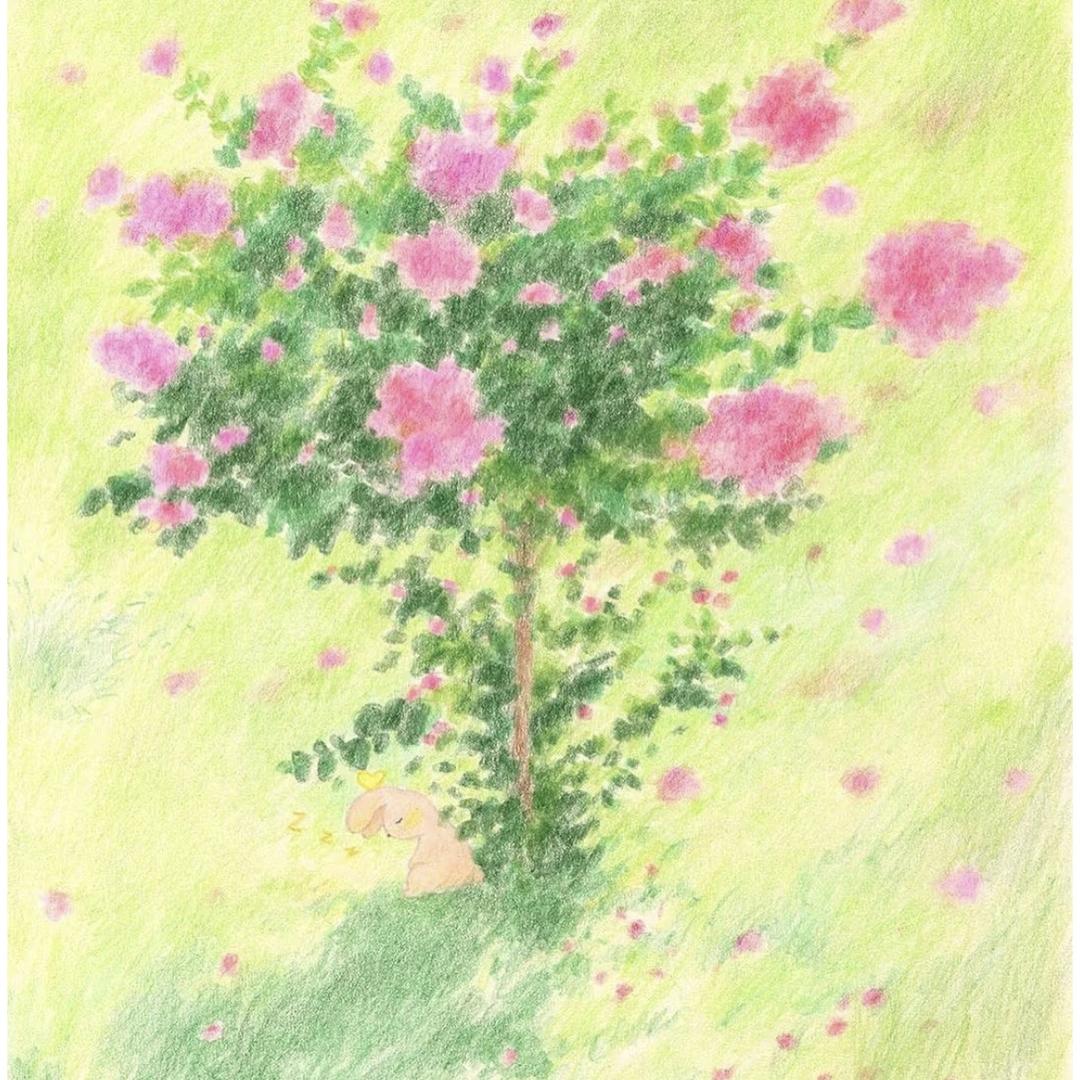 莨夏绸庄包包
