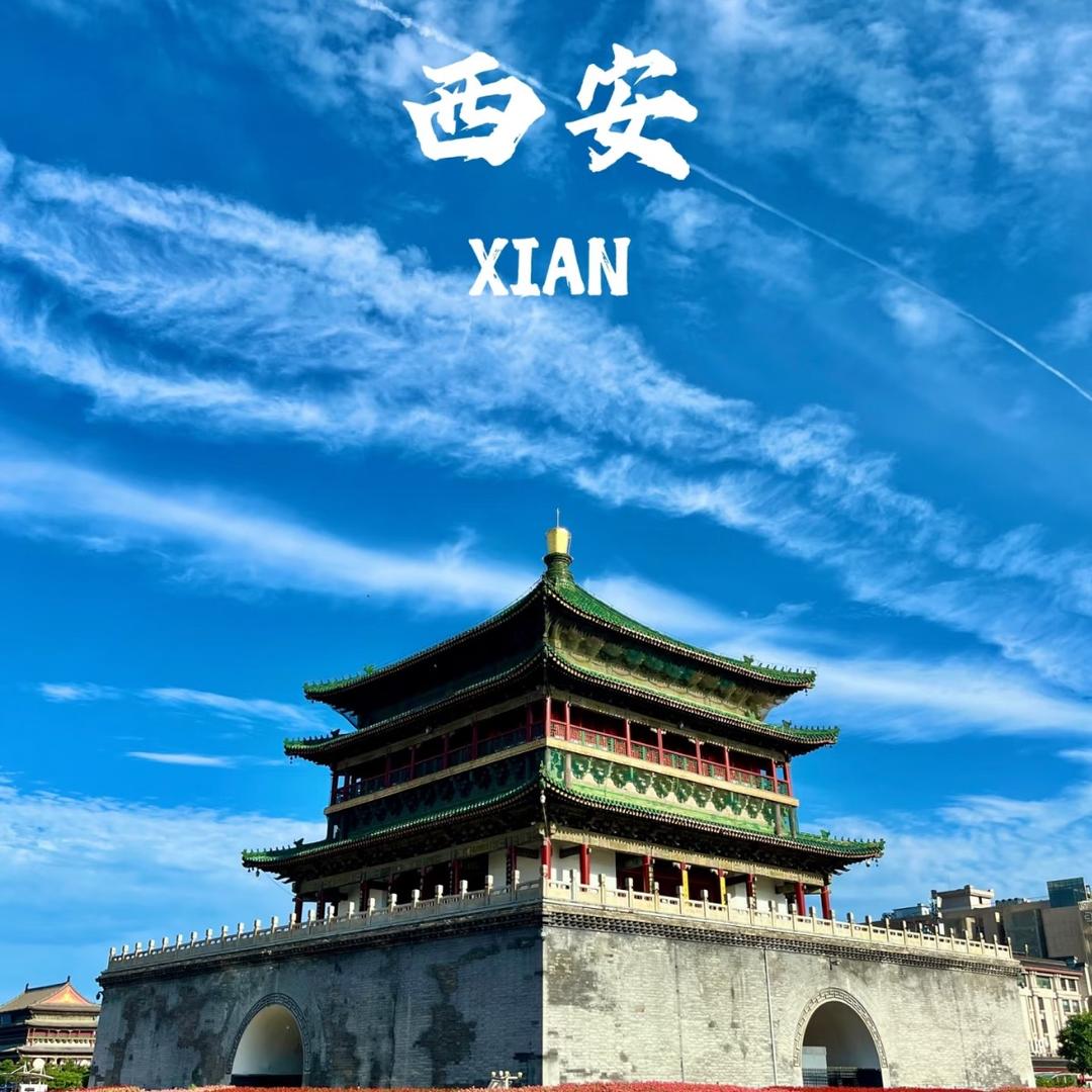 让我们一起玩🦒