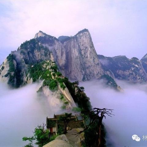 大众优选-百货