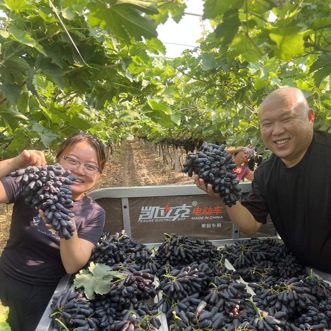 生鲜水果新鲜到家