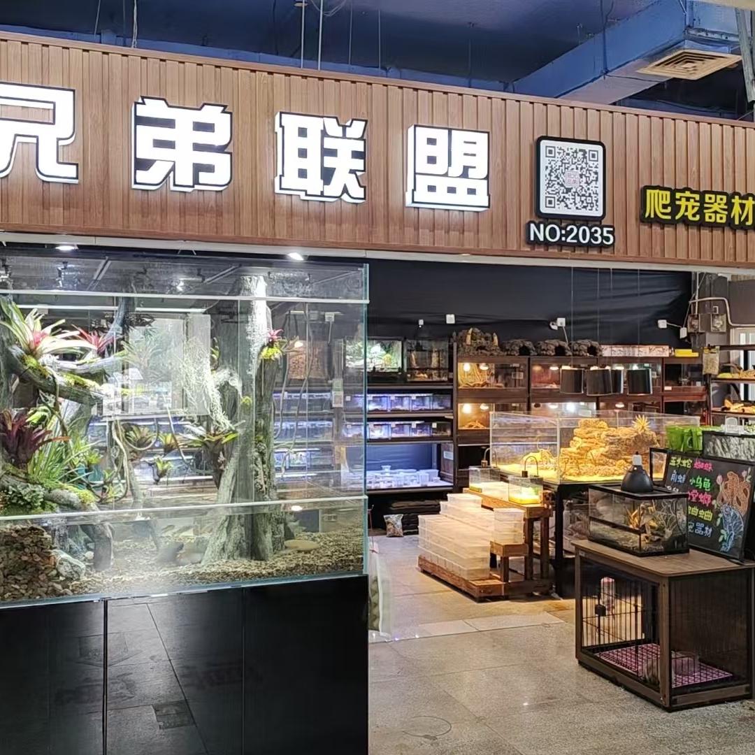 兄弟联盟爬宠创意屋