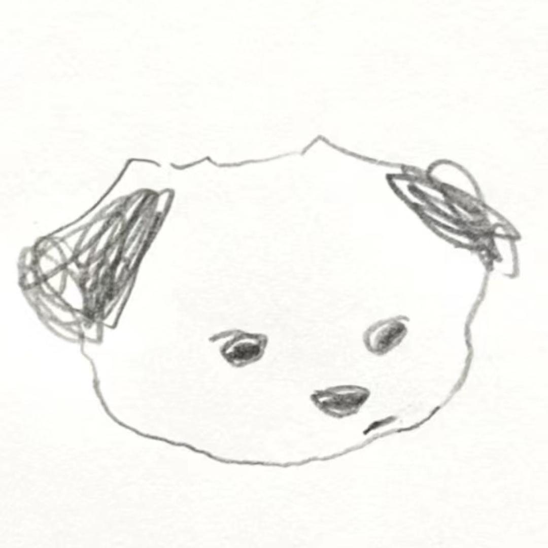 小狗拨片🐾