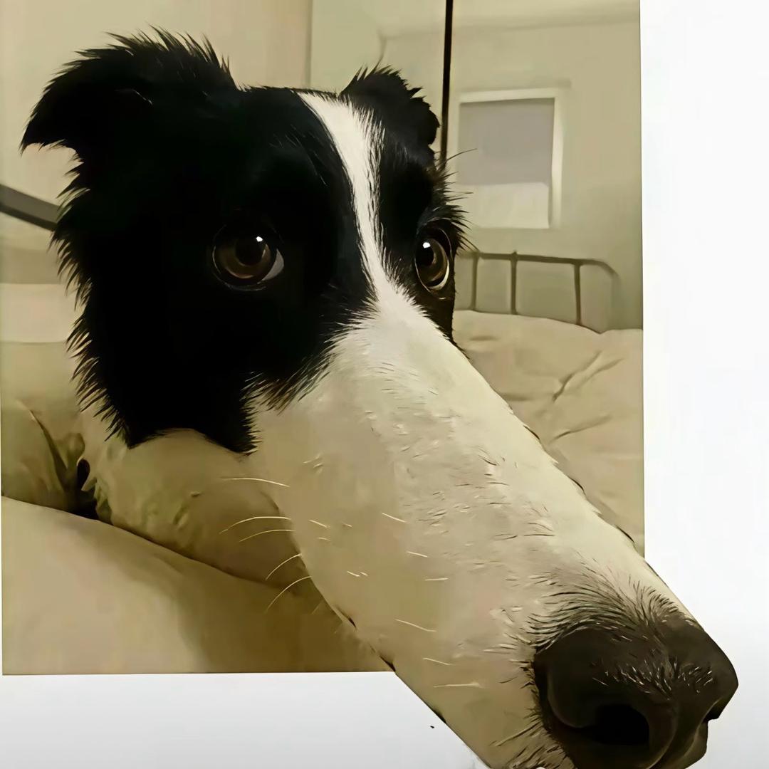 开心小狗૮・ᴥ - ა