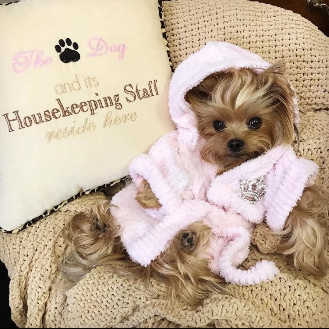 Lulu