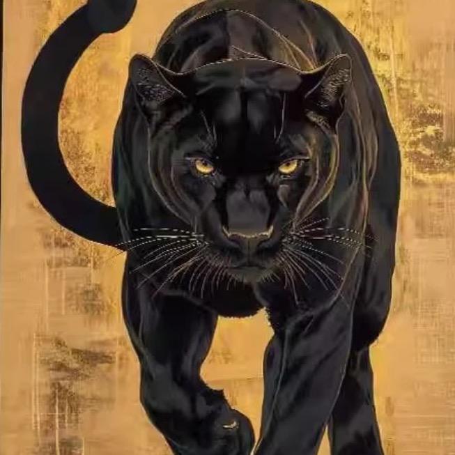 小 猫