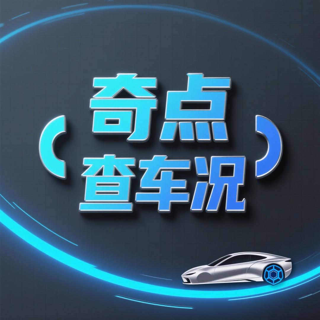 奇点查车况🚗