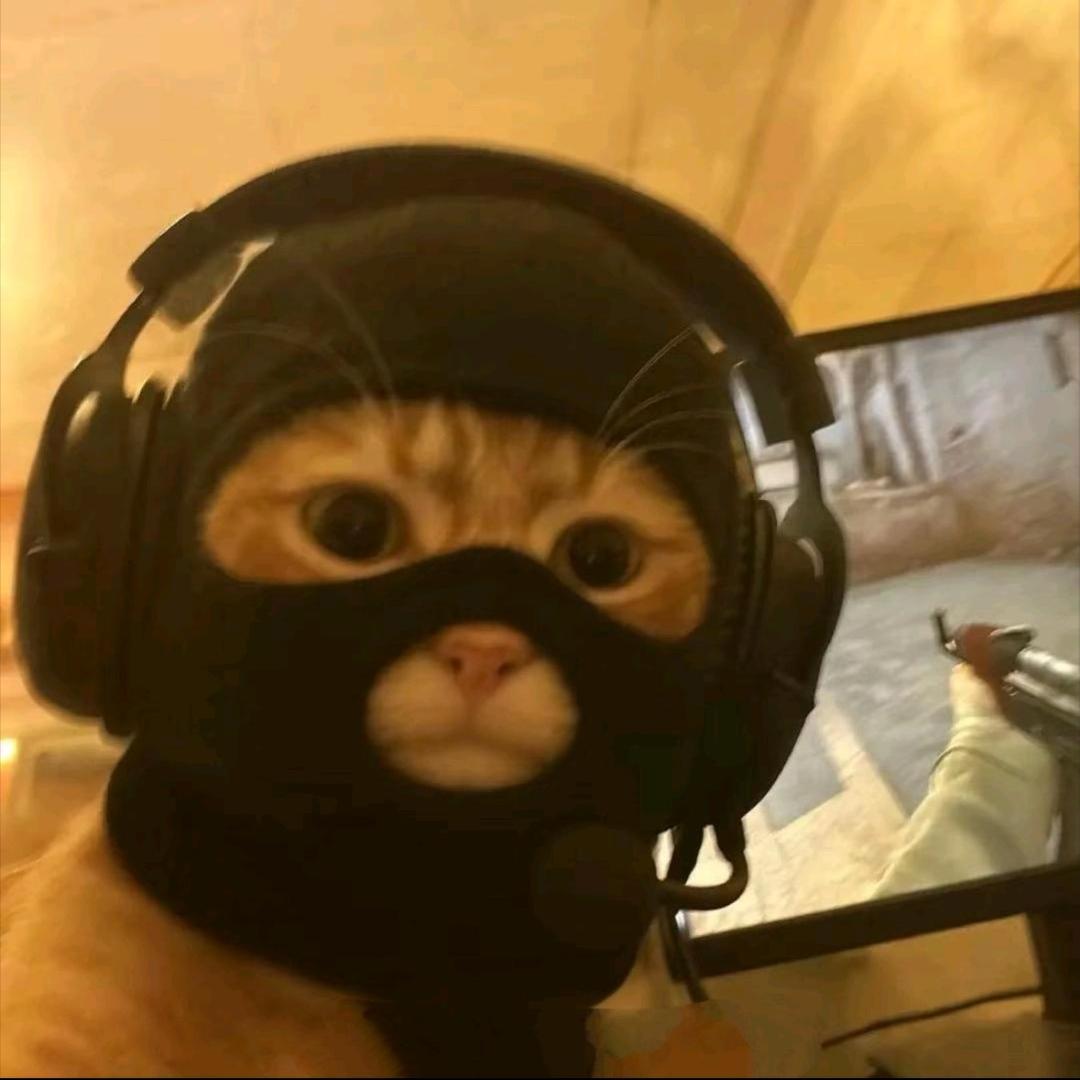 ve๑°