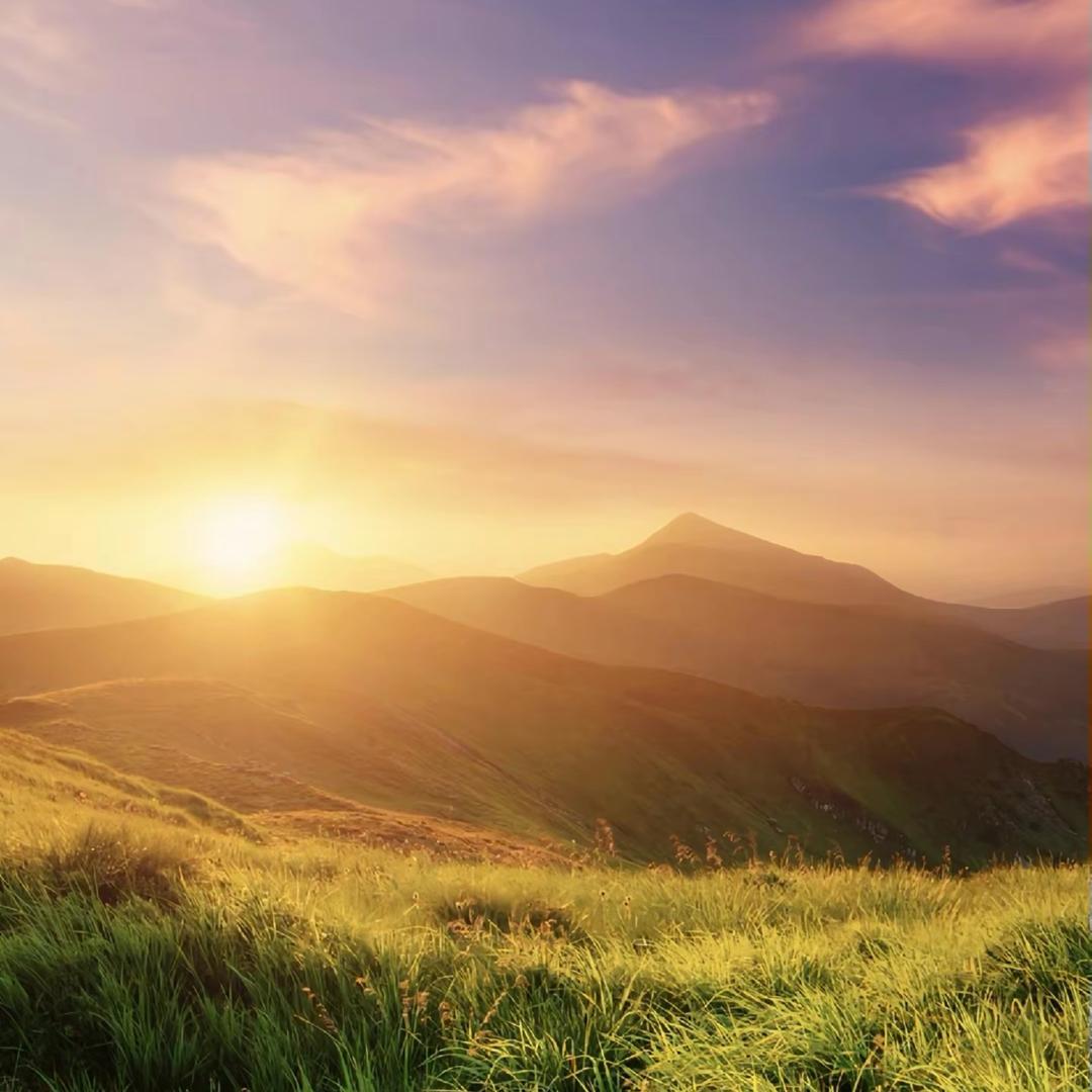 岁月静好🌷🎉🎉